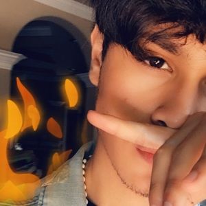 Meet your Posher, Pedro